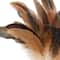 Natural Brown Pheasant Feather Pick by Ashland®